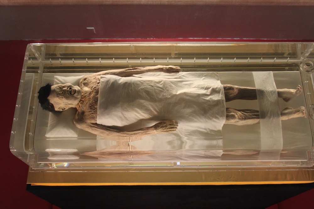 Đội ngũ chuyên gia đã sử dụng những công nghệ tiên tiến nhất để phân tích xác ướp Ai Cập